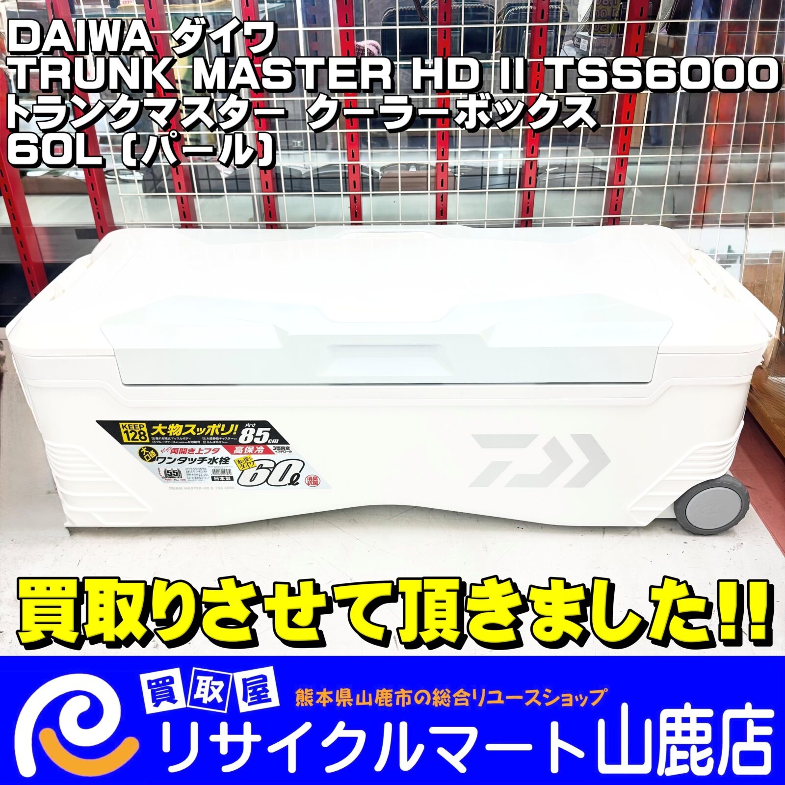 山鹿市、菊池市、玉名郡和水町、熊本市北区植木町にお住いの方へ(^^)！　地域一番！高価買取！熊本県山鹿市で【 クーラーボックス 】の買取ならリサイクルマート山鹿店へ！　　　　今回は【 DAIWA（ダイワ）TRUNK MASTER HD Ⅱ TSS6000 トランクマスター クーラーボックス 60L パール 】を買取らせて頂きました\( ´˘`)/