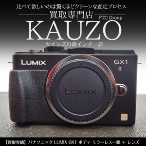 パナソニック LUMIX GX1 ミラーレス一眼 ＋ レンズ 14-42mm F3.5-5.6Ⅱ