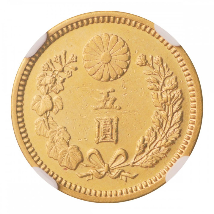 159811035.jpg