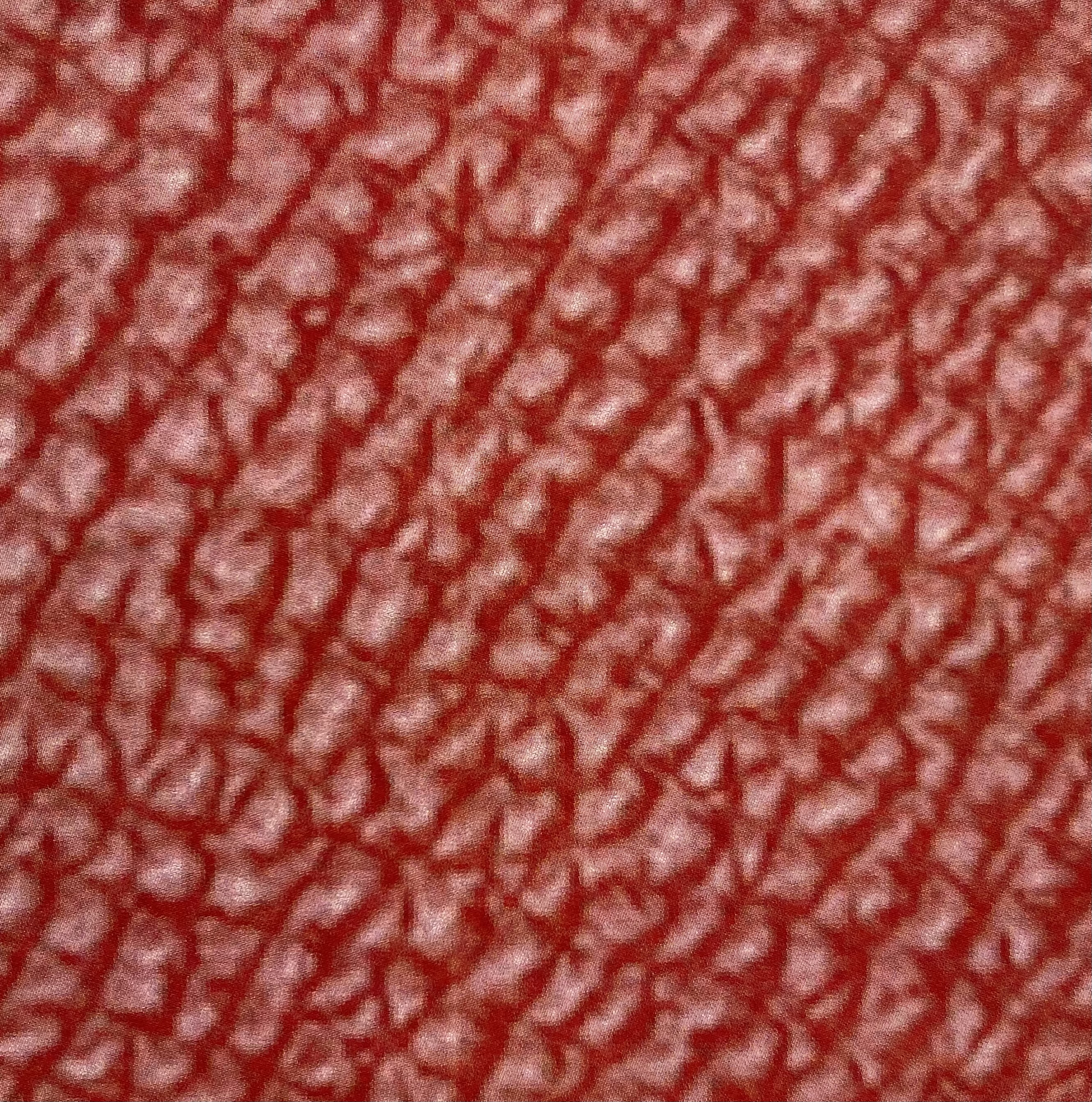 348.JPG