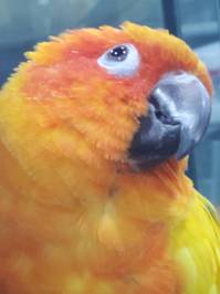IMG_2523.JPG