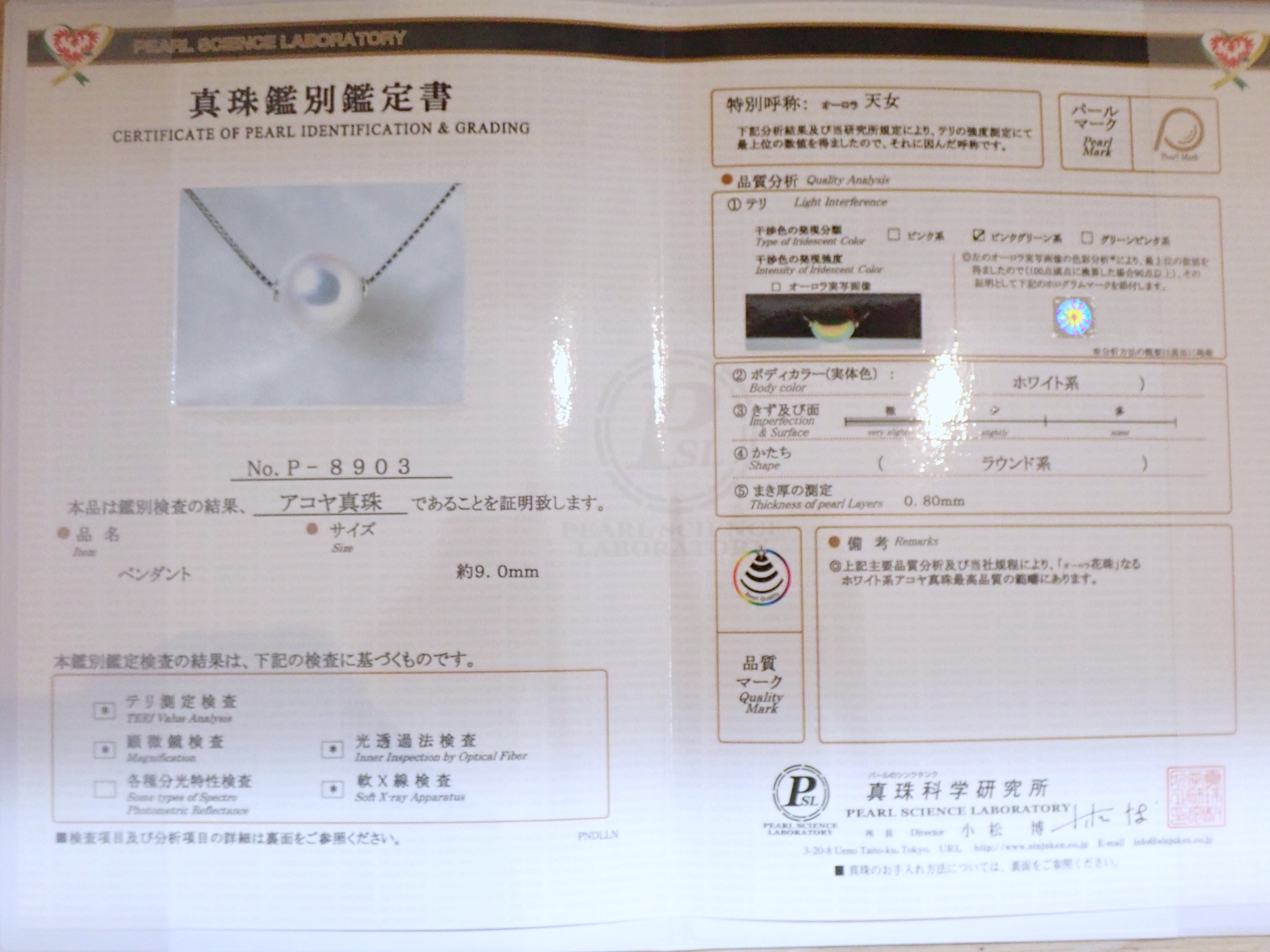 PA241630.JPG