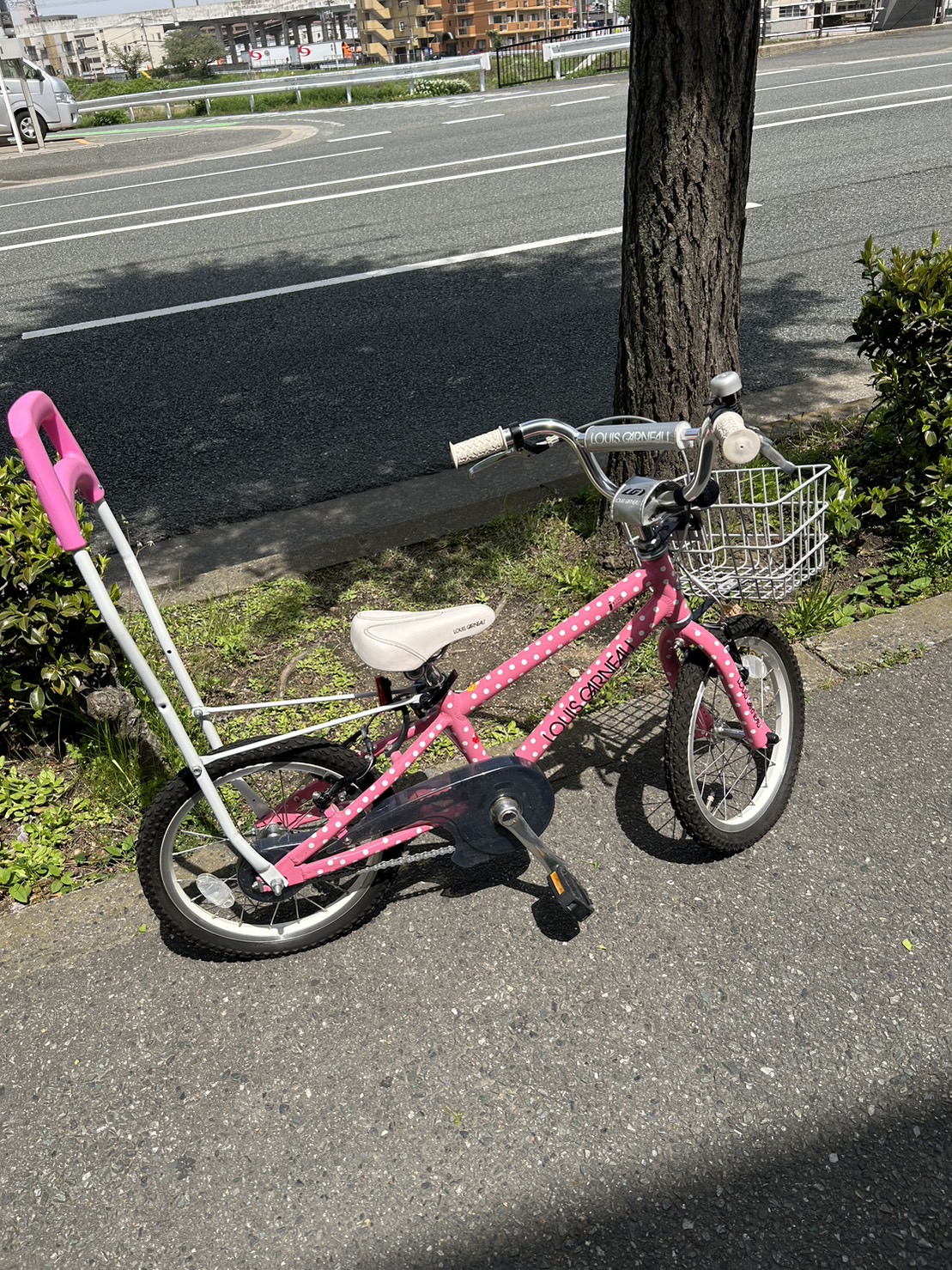 子供自転車 ルイガノ スケーターバイク キックボード型自転車 14