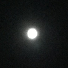 C89365C9-00CF-4979-BDC7-76B4B5C06C2B.jpeg
