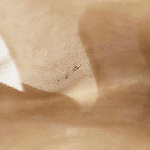 20231020_160306.jpg