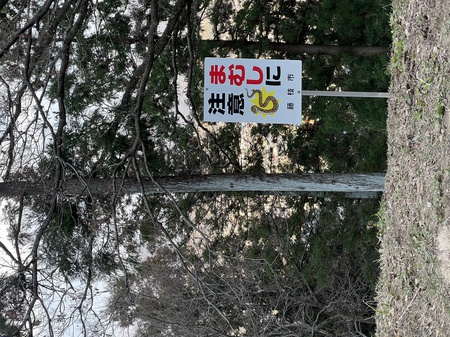 IMG_1407.JPEG