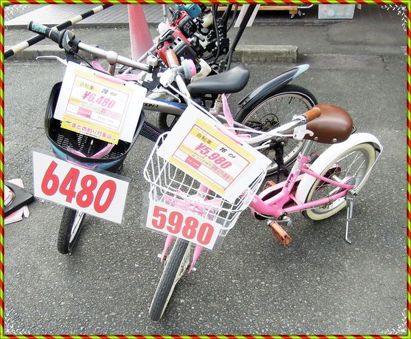 DSCN0369.JPG